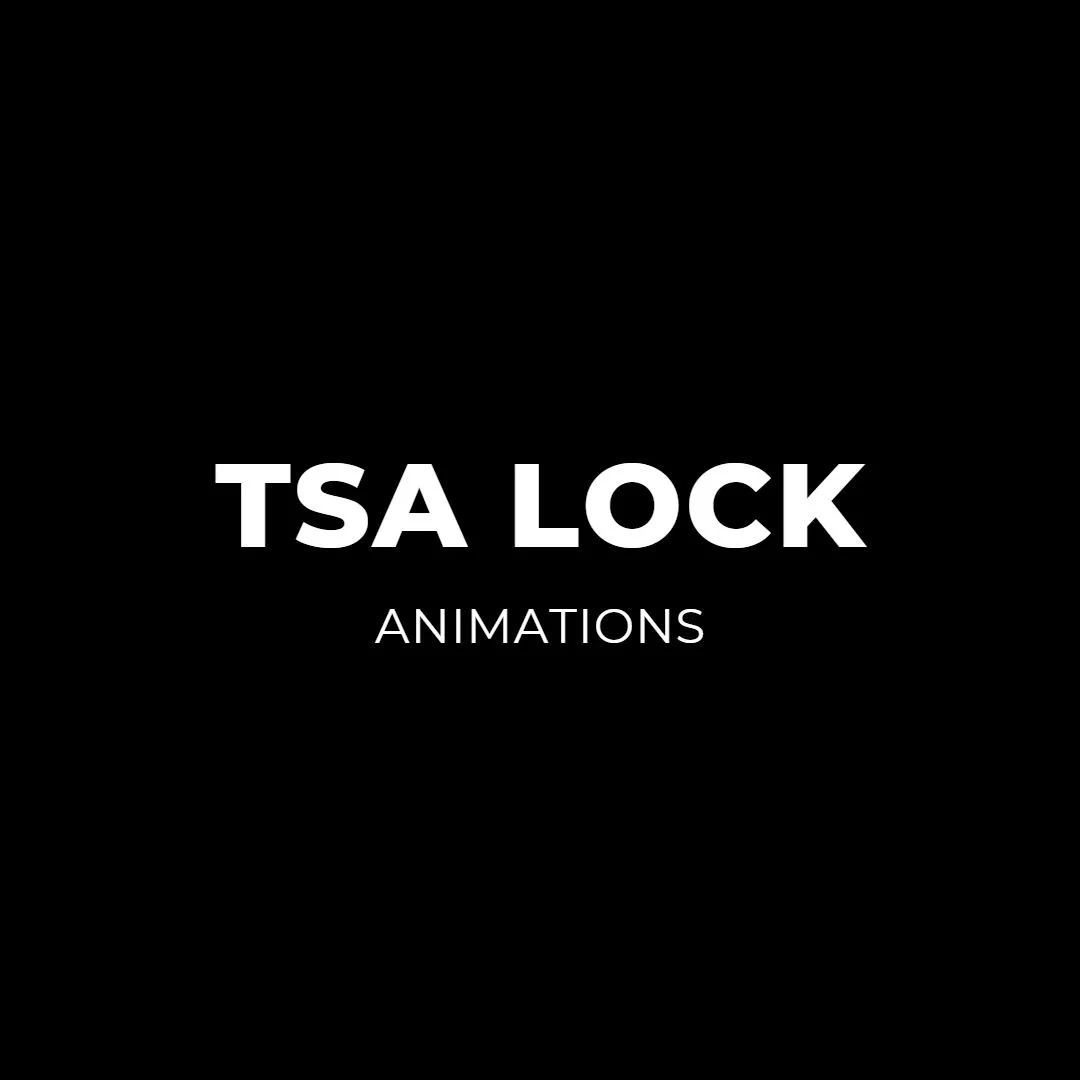 Rollink Flex 360, TSA lock close-up product render