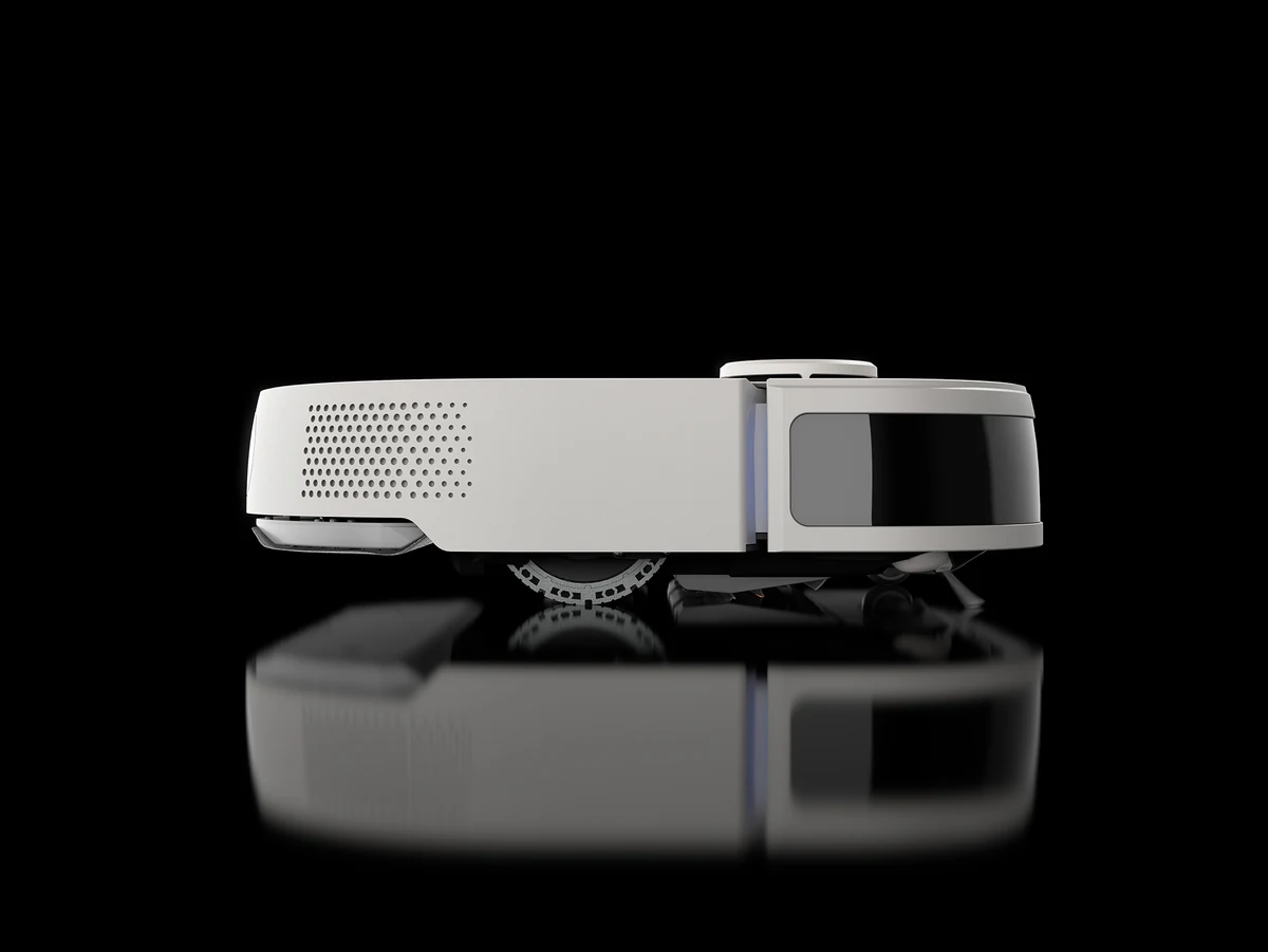 Noesis Florio, flat left side view